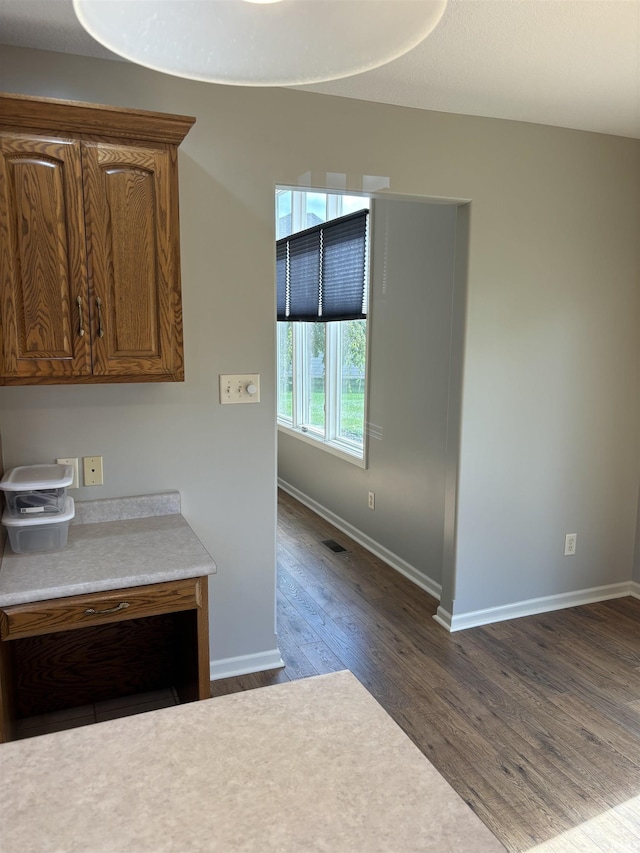 kitchen with dark wood-type flooring