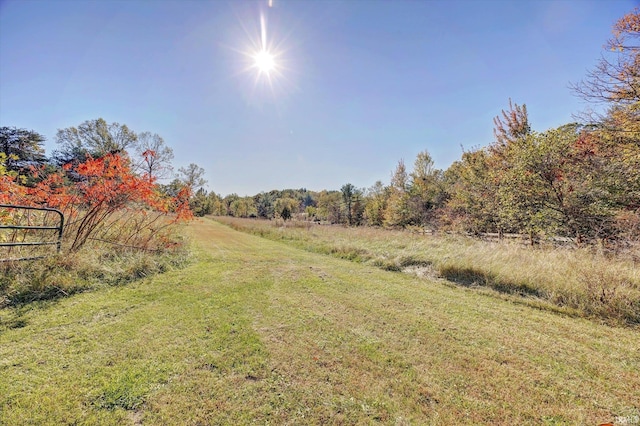 3708 State Ferry Rd, Solsberry, IN 47459 - view of grassy yard