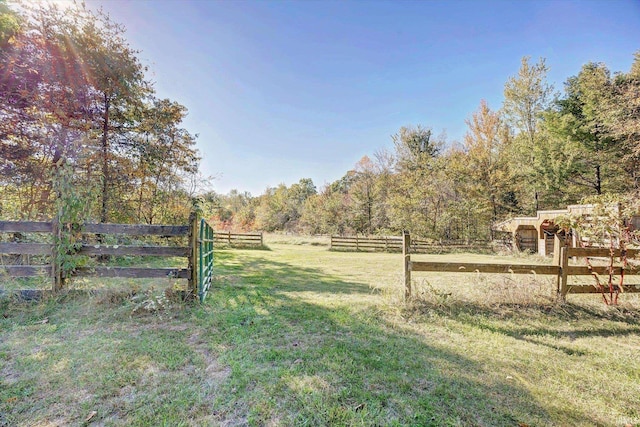 view of yard with a rural view