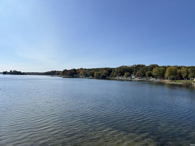 720 Ln 800 Snow Lk, Fremont, IN 46737 - water view