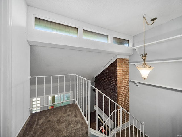 staircase featuring carpet