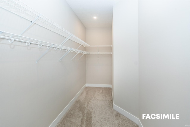 spacious closet with light colored carpet