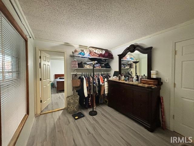 spacious closet with light hardwood / wood-style flooring