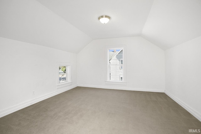 additional living space featuring lofted ceiling, a healthy amount of sunlight, and carpet