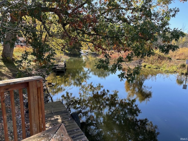 dock area with a water view