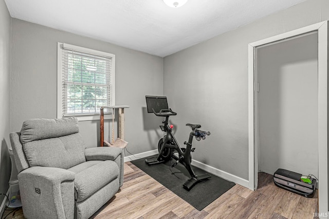 workout room with wood-type flooring