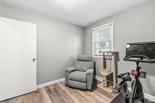 sitting room featuring hardwood / wood-style floors