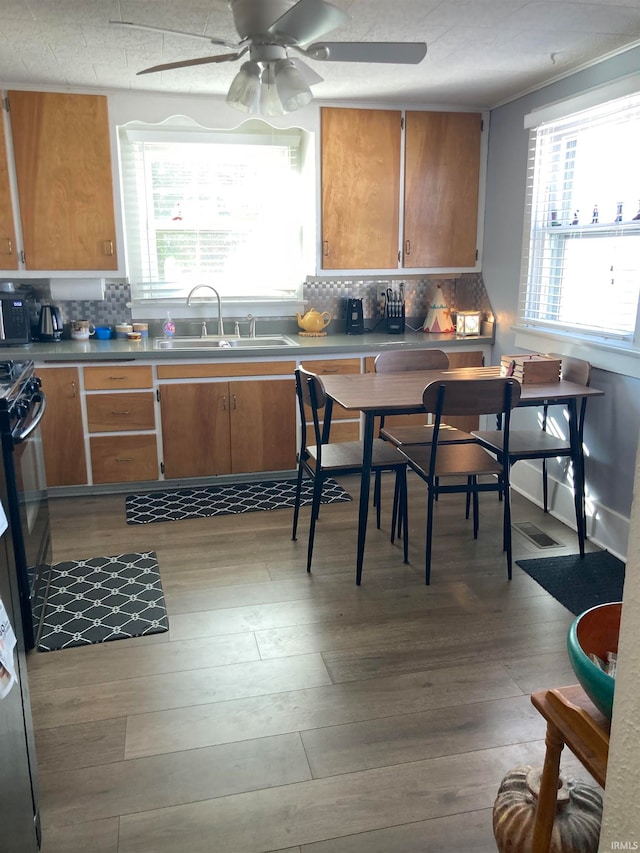 kitchen featuring sink, light hardwood / wood-style flooring, tasteful backsplash, and a wealth of natural light