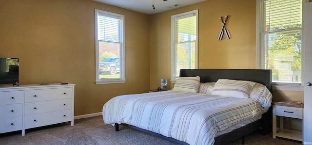 bedroom featuring multiple windows and carpet floors