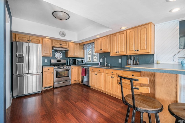 kitchen with kitchen peninsula, stainless steel appliances, dark wood-type flooring, and sink