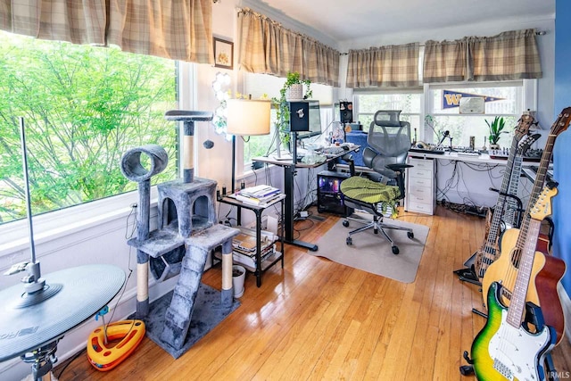 office with light hardwood / wood-style floors