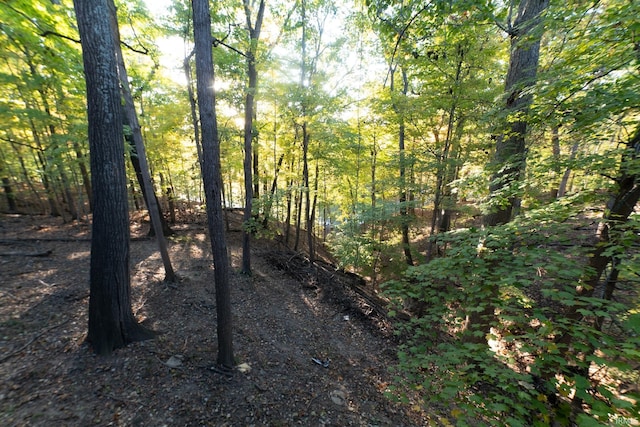 view of local wilderness