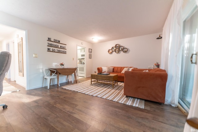 living room with wood-type flooring