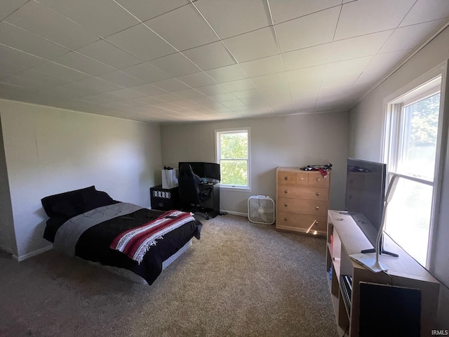 bedroom with carpet