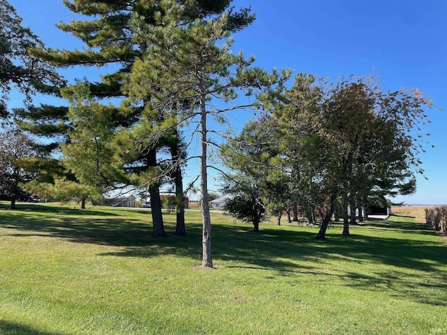view of community featuring a yard