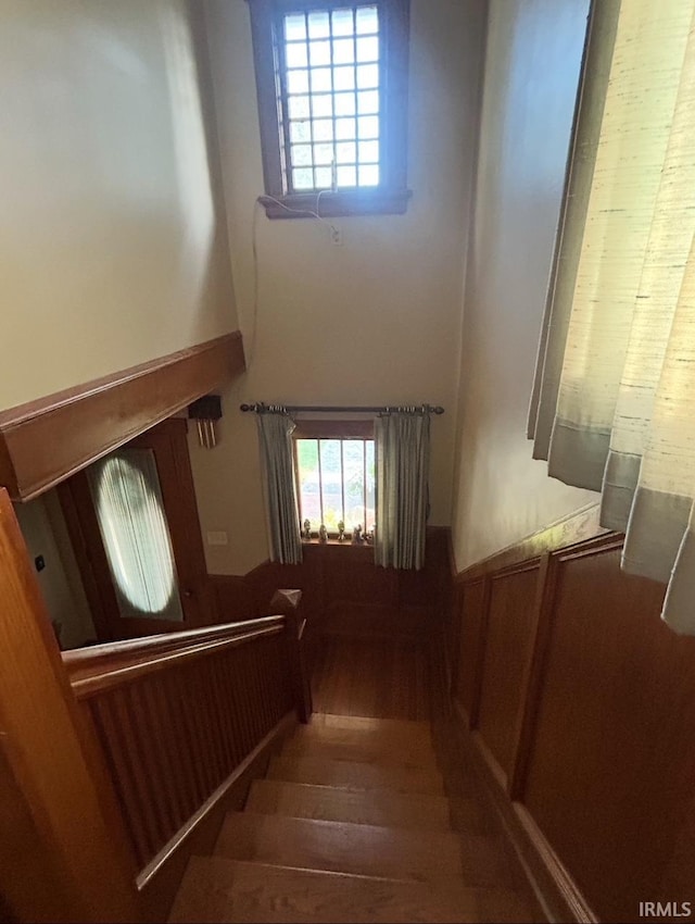 stairs featuring wood-type flooring