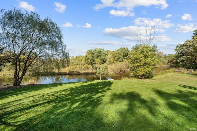 view of yard with a water view