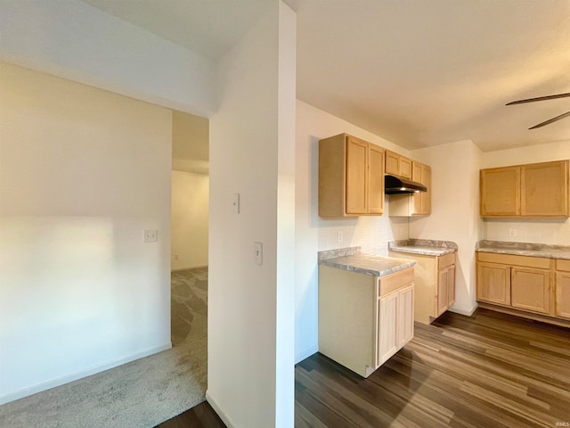 kitchen with ceiling fan, light brown cabinetry, and dark hardwood / wood-style flooring