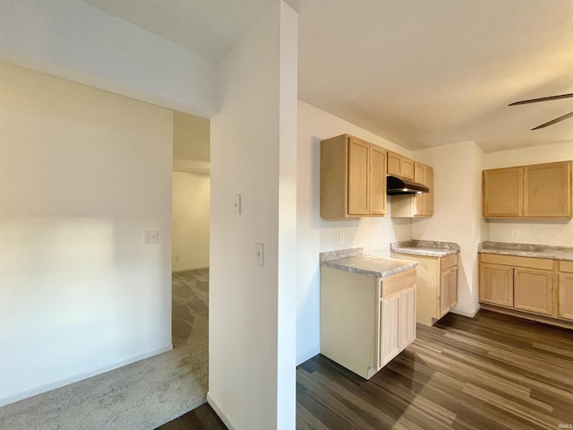 kitchen with dark wood finished floors, ceiling fan, under cabinet range hood, and light countertops