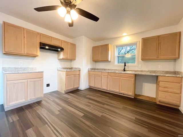 kitchen with light brown cabinetry, sink, and dark hardwood / wood-style floors