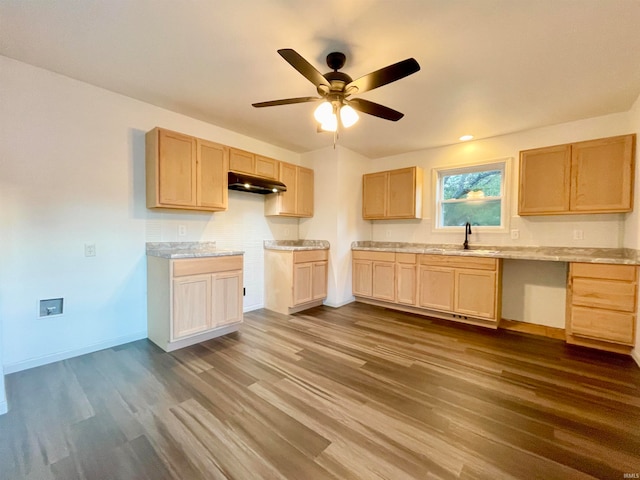 kitchen with hardwood / wood-style flooring, sink, and light brown cabinetry