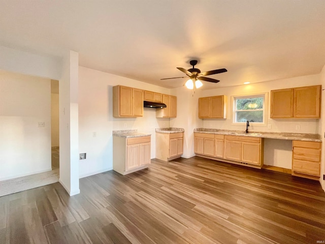 kitchen with sink, light brown cabinetry, and dark hardwood / wood-style flooring