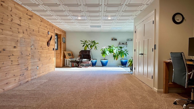 interior space featuring light carpet and wood walls