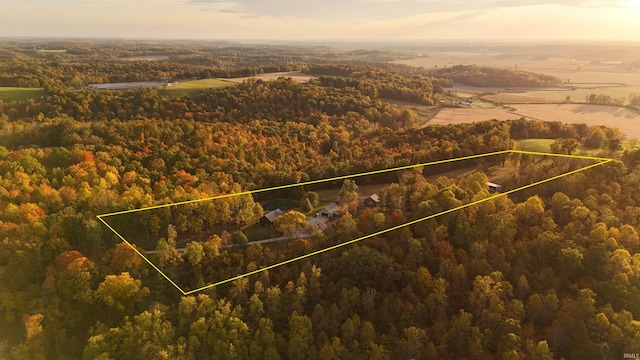 15597 Buck Knob Ln, Loogootee, IN 47553 - aerial overview of property's location with a heavily wooded area and property boundaries highlighted