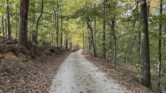 15597 Buck Knob Ln, Loogootee, IN 47553 - view of street featuring a forest view