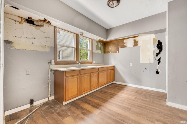 kitchen with hardwood / wood-style flooring and sink