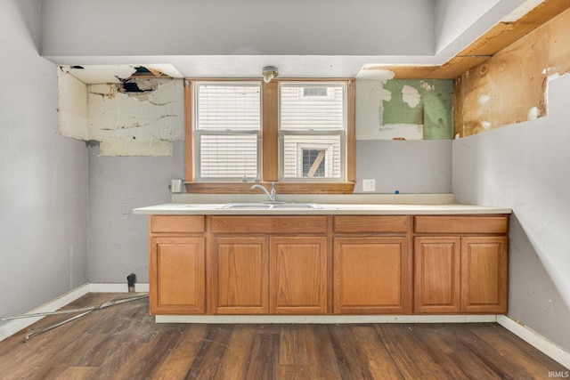 kitchen with dark hardwood / wood-style floors and sink