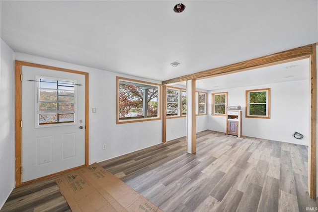 entrance foyer featuring wood-type flooring