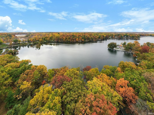 property view of water