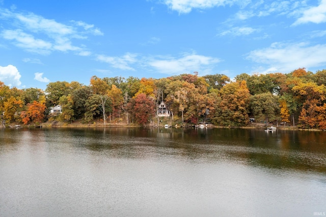 property view of water