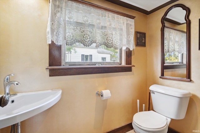 bathroom with toilet, crown molding, sink, and plenty of natural light