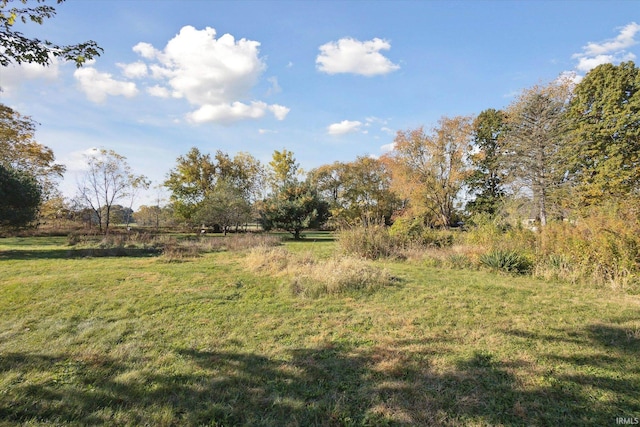 view of yard featuring a rural view