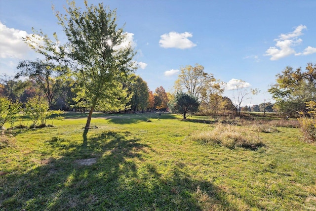 view of yard featuring a rural view