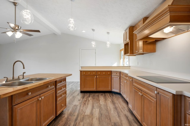 kitchen featuring black electric stovetop, sink, hardwood / wood-style floors, pendant lighting, and premium range hood