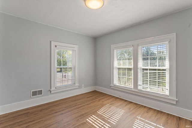 empty room featuring a wealth of natural light and hardwood / wood-style flooring