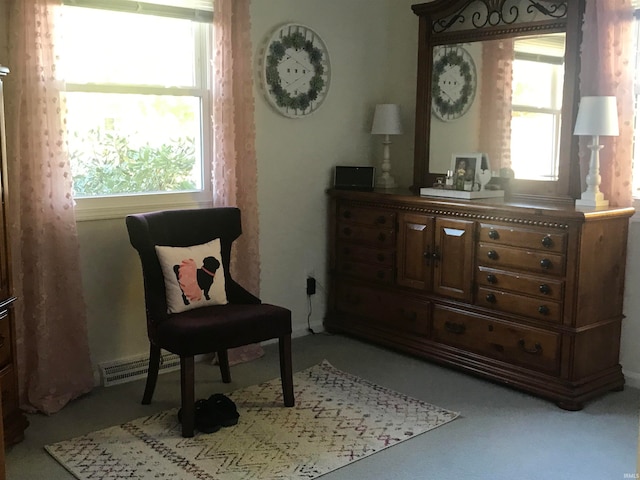 living area featuring carpet flooring