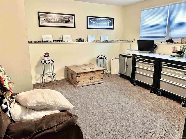 living area with carpet floors