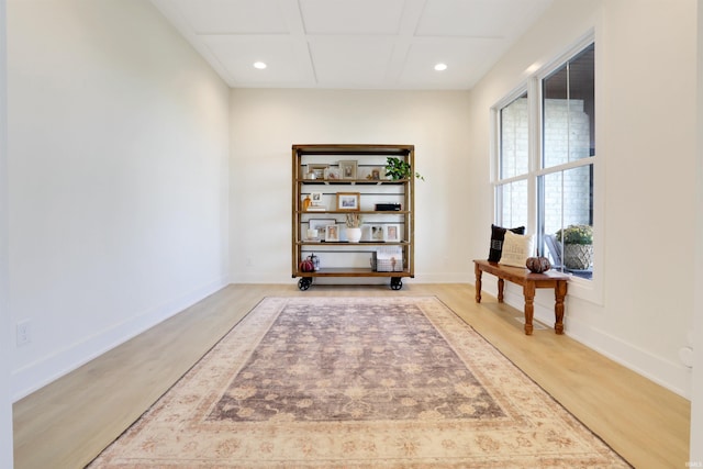 living area with hardwood / wood-style floors