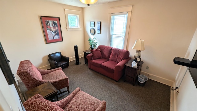 view of carpeted living room