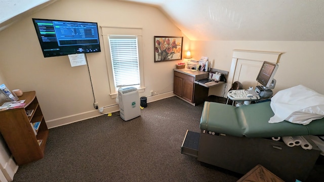 carpeted office with vaulted ceiling