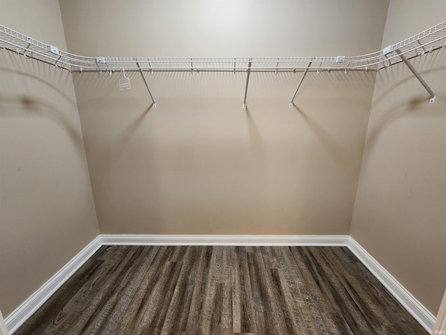 spacious closet with dark hardwood / wood-style flooring