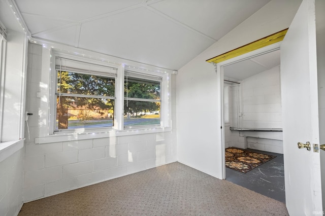 interior space with vaulted ceiling