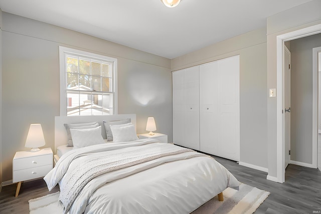 bedroom featuring dark hardwood / wood-style floors and a closet