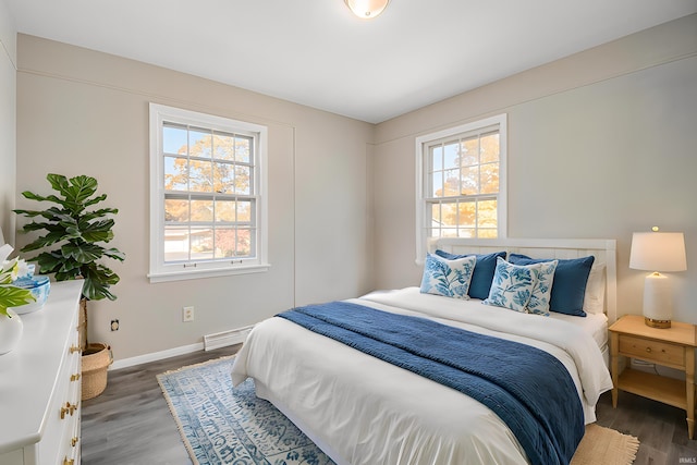 bedroom featuring multiple windows and dark hardwood / wood-style floors