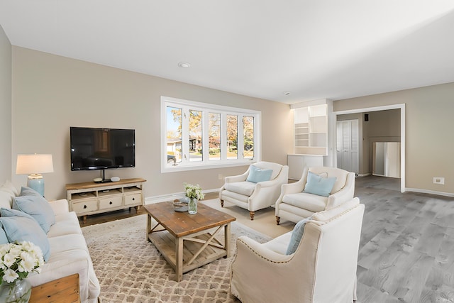 living room with wood-type flooring