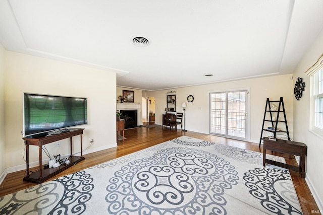 living room featuring hardwood / wood-style floors